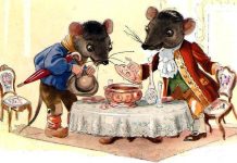 CHUỘT ĐỒNG VÀ CHUỘT NHÀ -Thơ