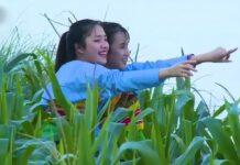 DÒNG SÔNG TÌNH BẠN